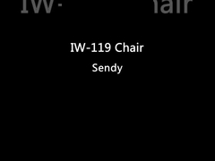 Het leer bekleedde Houten het Dineren Stoelen Geen Armsteun met Ash Wood Black Color